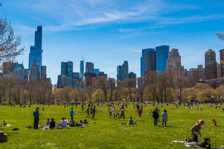 Bezos Fund Commits $400 Million Towards Green Spaces 