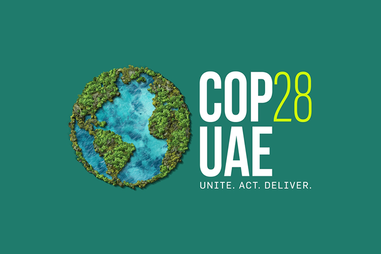 Cop28 To Host Climate Action Summit 