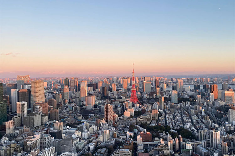 Japan Weighs Proxy Condo Management for Owners Abroad