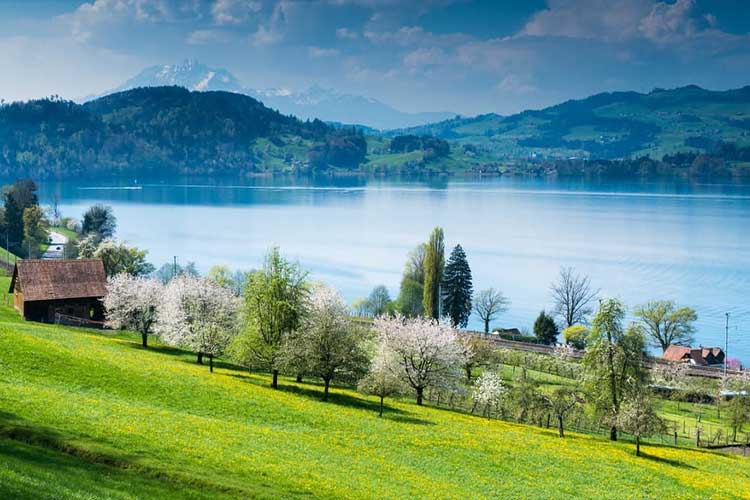 Siemens Opens Climate-Neutral Facility in Switzerland 