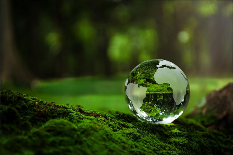Global Emissions Must Be Cut by 7% Annually 