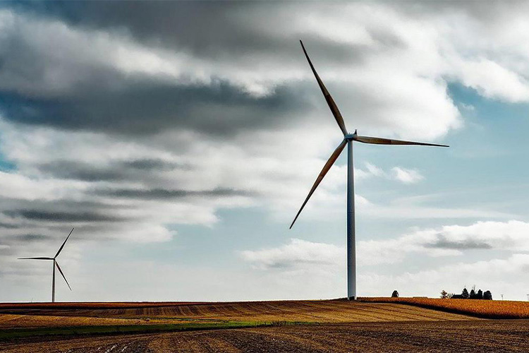LONGi to Invest in Green Hydrogen in Egypt 