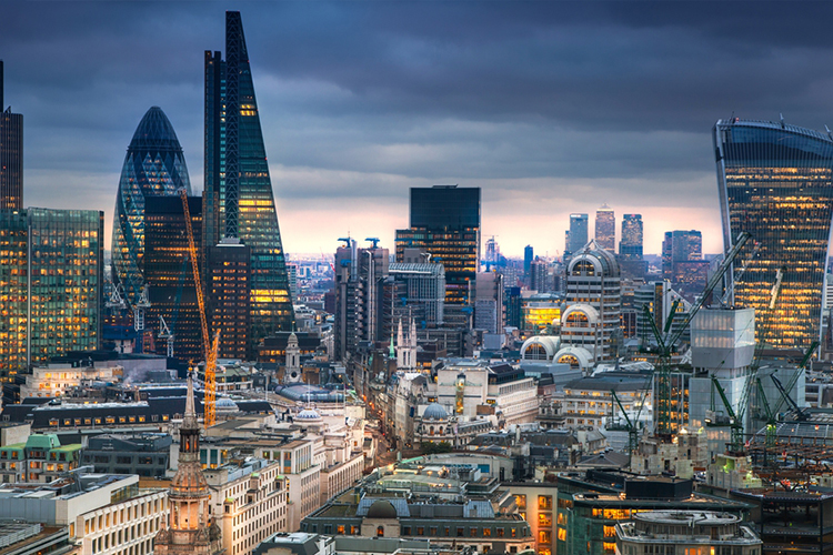 Meet the Top Developers Across the World