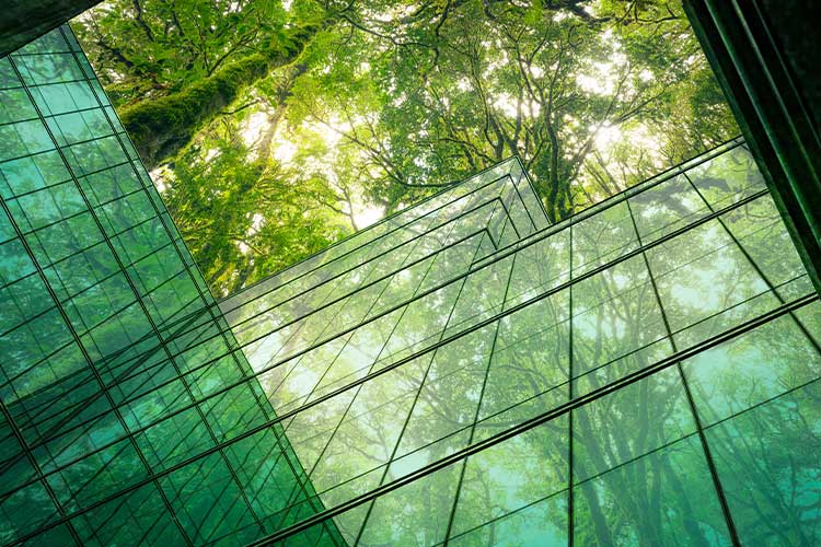 Net-Zero Offices in Asia to Face Supply Crunch by 2030: JLL