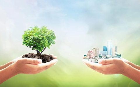 WorldGBC Launches New Industry Guide in the Built Environment