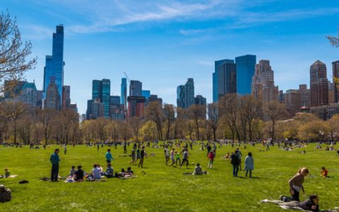 Bezos Fund Commits $400 Million Towards Green Spaces 