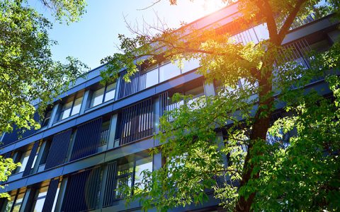Framework to Align Buildings with Net-Zero Goals Faster