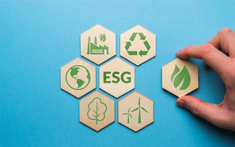 World&rsquo;s Largest Asset Managers Voting Against Stricter ESG Rules at Corporations