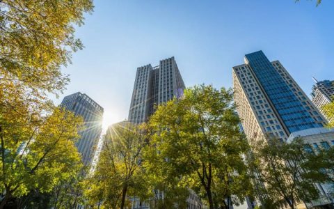 COP28: Cities Join Hands To Improve Air Quality 