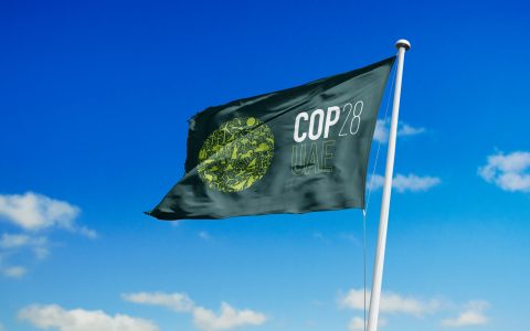COP28 Sparks Green Transformation In Dubai