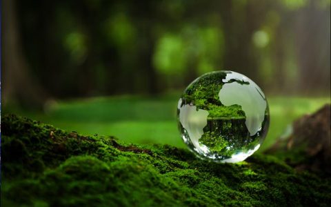 Global Emissions Must Be Cut by 7% Annually 