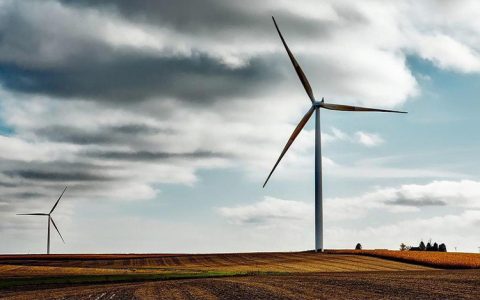 LONGi to Invest in Green Hydrogen in Egypt 