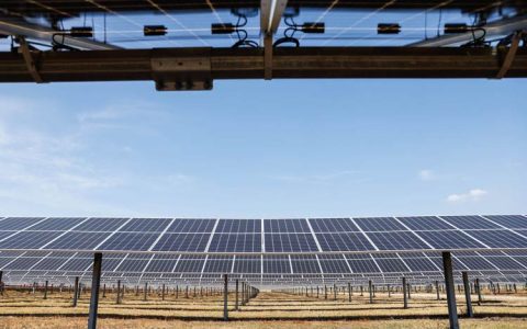 Dallas County Buildings Shift to Renewable Energy 