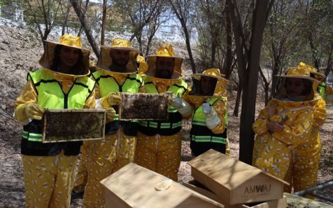 AMWAJ Development Leads the Charge in Biodiversity 
