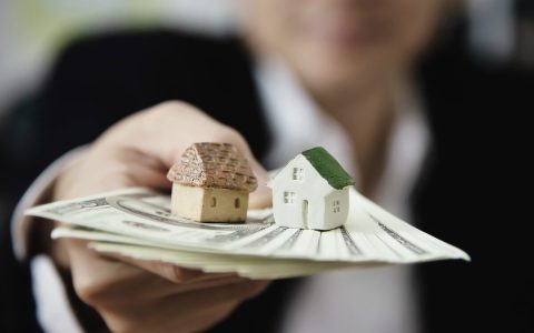 Visionary Investment Holding UAE real estate investment plans